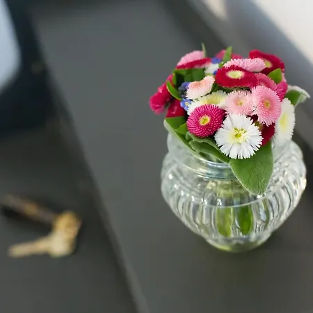 Apartamento Schwanenteich *